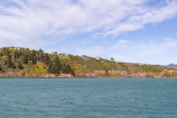 Pauaohinekotau Head from a pier in Diamond Harbour, New Zealand 02