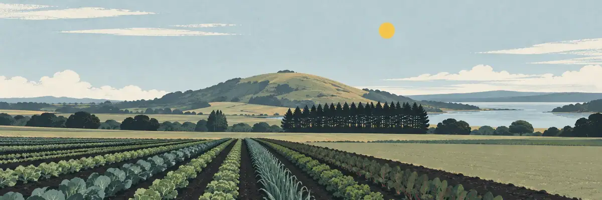 Screen-print illustration of rich volcanic market-garden soils around Paerata