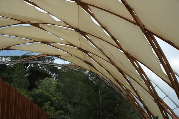 Woven timber canopy at Waitomo cave entrance