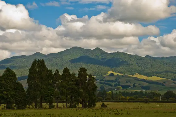 Mount Pirongia