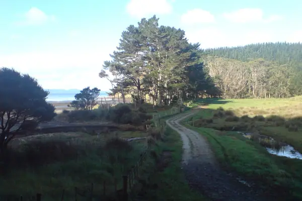 Beaches West Of Kaipara Harbour I