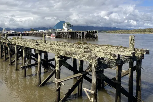 Westport Cattle Wharf MRD