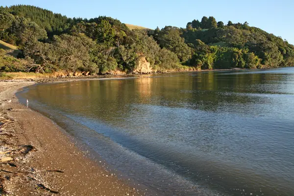 00 23 1007 Coromandel, NZ - Long Bay
