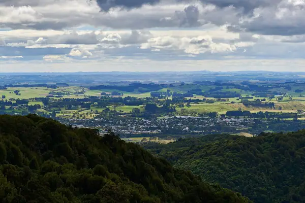 Ashhurst - Te Apiti Lookout (Manawatu Gorge Track)