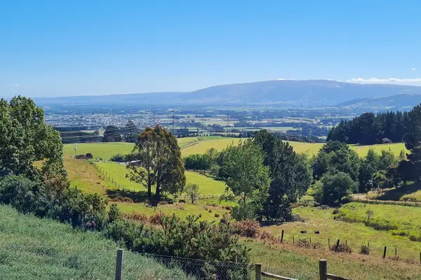 Mosgiel panorama 2026 (1)